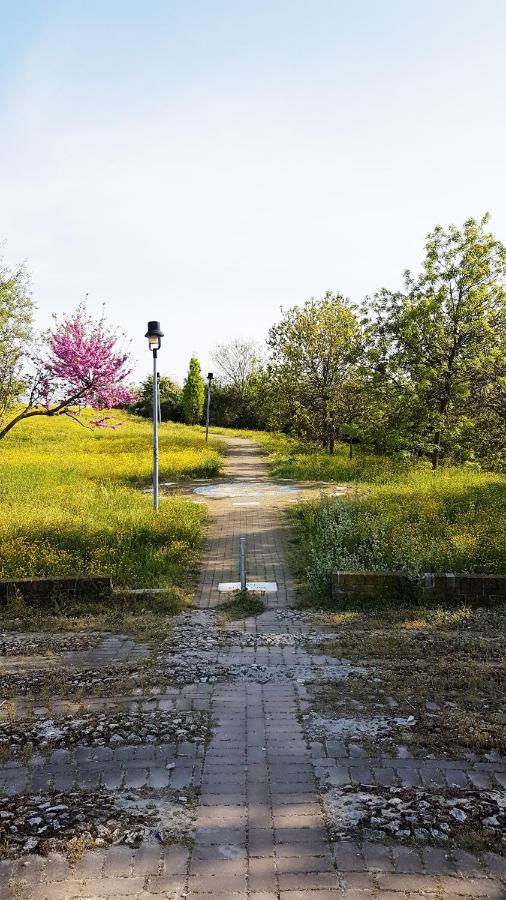 Casarava Sul Parco 3 Camere 2 Bagni Riccione Eksteriør billede